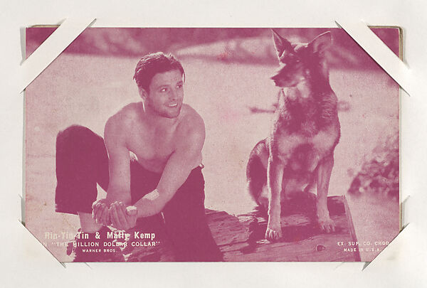 Exhibit Supply Company Rin Tin Tin Matty Kemp In The Million Dollar Collar From Scenes