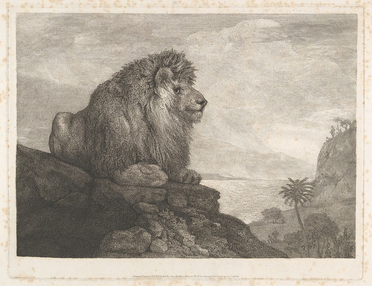 A Lion (A Lion Resting on a Rock), George Stubbs, Etching with roulette work; only state