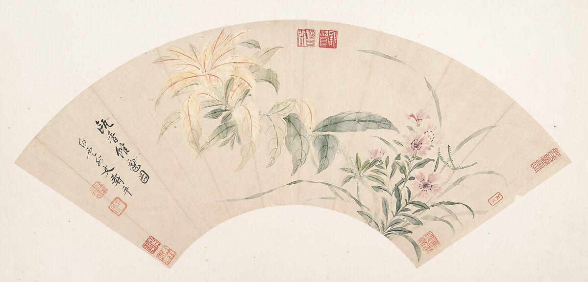 Carnations and amaranthus, Yun Shouping, Folding fan mounted as an album leaf; color on paper, China