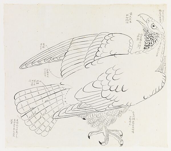 Hawk with notes, Xie Zhiliu, Ink on paper, China