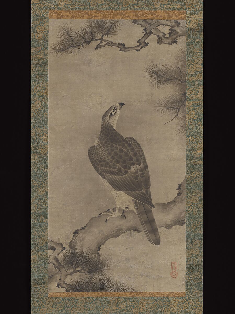Hawk on a Pine, Kano Yukinobu 狩野之信, Hanging scroll; ink on paper, Japan