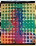 Untitled, Ellen Carey, Instant dye diffusion transfer print (Polaroid 20x24)