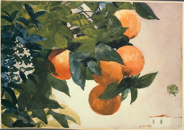 Oranges on a Branch, Winslow Homer, Watercolor on paper, American