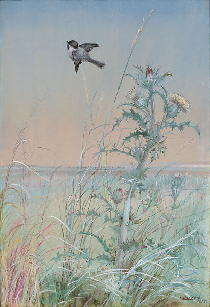 Chickadee and Thistle, Fidelia Bridges, Watercolor and gouache on paper, American