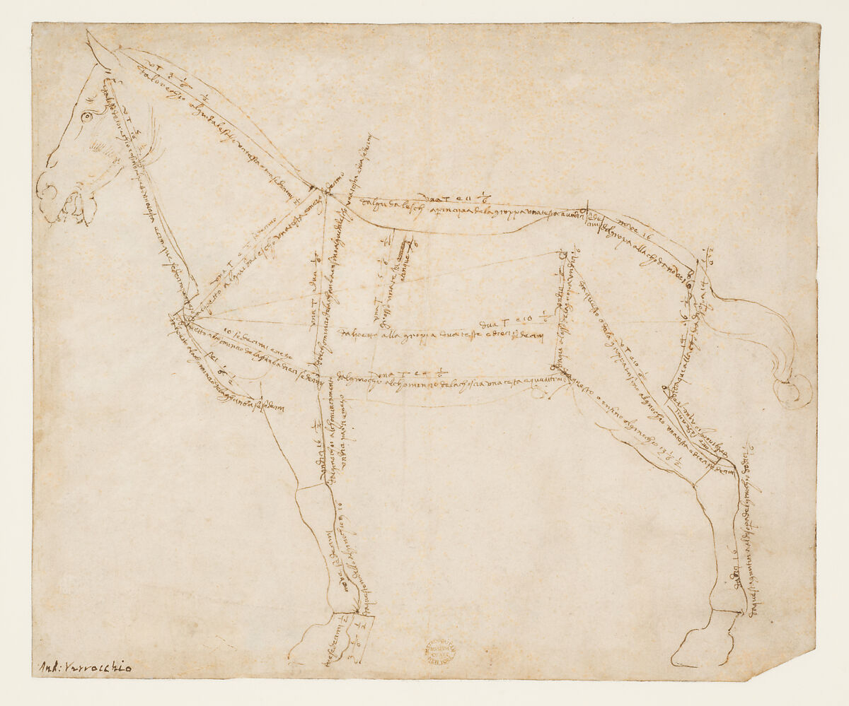 Measured Drawing of a Horse Facing Left (recto), Andrea del Verrocchio, Pen and dark brown ink, over traces of black chalk