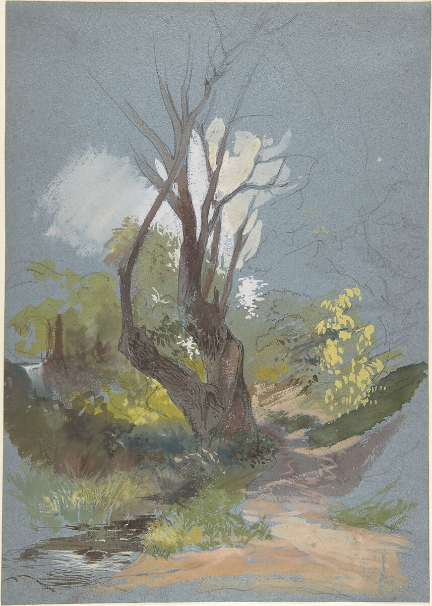 Mountain Path with a Tree, Friedrich Nerly, Graphite, watercolor, and gouache on blue paper