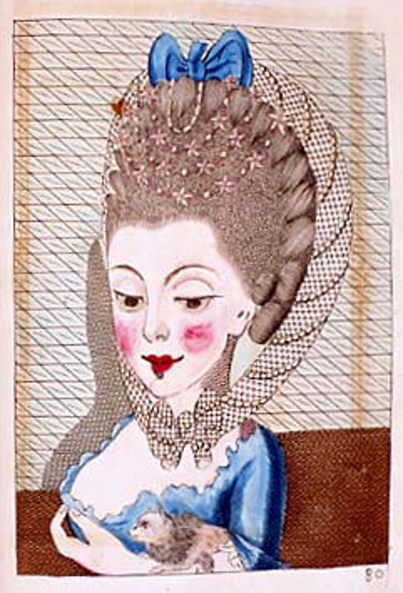 L'art de la coëffure des dames françoises, avec des estampes : où sont représentées les têtes coëffées, gravées sur les dessins originaux de mes accommodages, avec le traité en abrégé d'entretenir & conserver les cheveux naturels, Legros de Rumigny (French), a-e) leather, paper, French