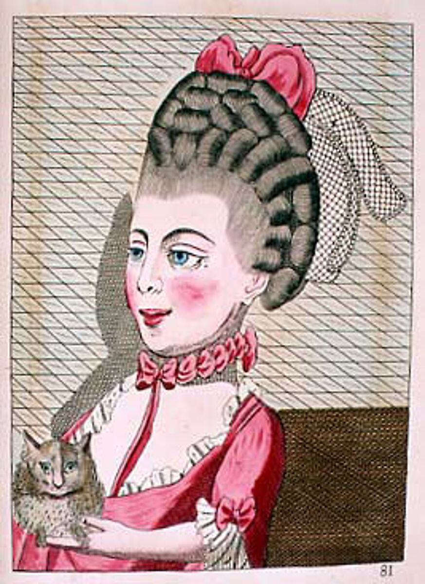 L'art de la coëffure des dames françoises, avec des estampes : où sont représentées les têtes coëffées, gravées sur les dessins originaux de mes accommodages, avec le traité en abrégé d'entretenir & conserver les cheveux naturels, Legros de Rumigny (French), a-e) leather, paper, French