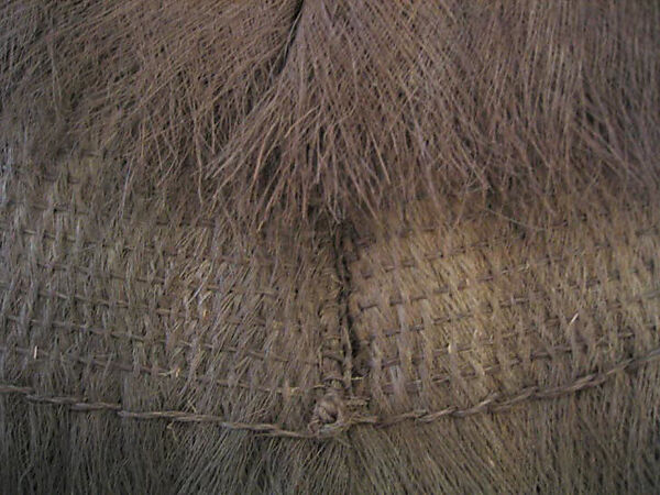 Raincoat, coconut, China