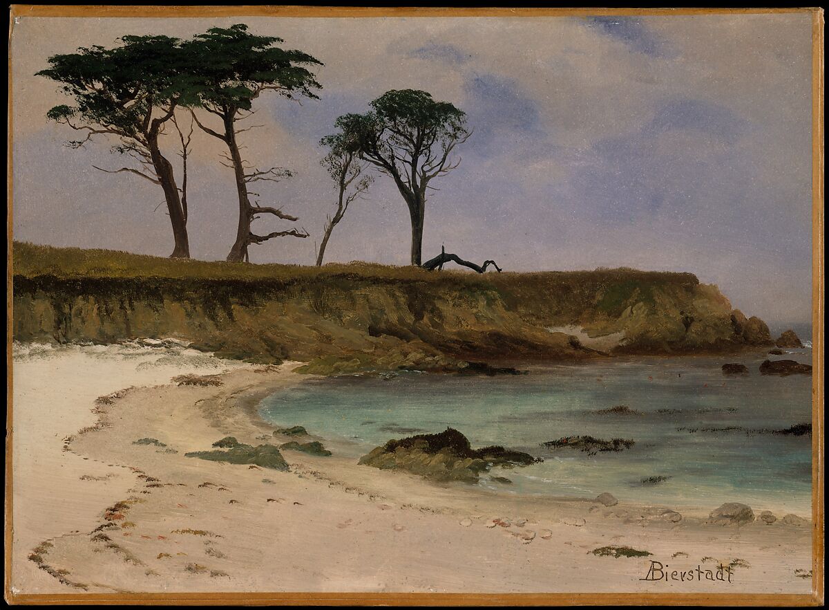 Sea Cove, Albert Bierstadt (American, Solingen 1830–1902 New York), Oil on wood, American 