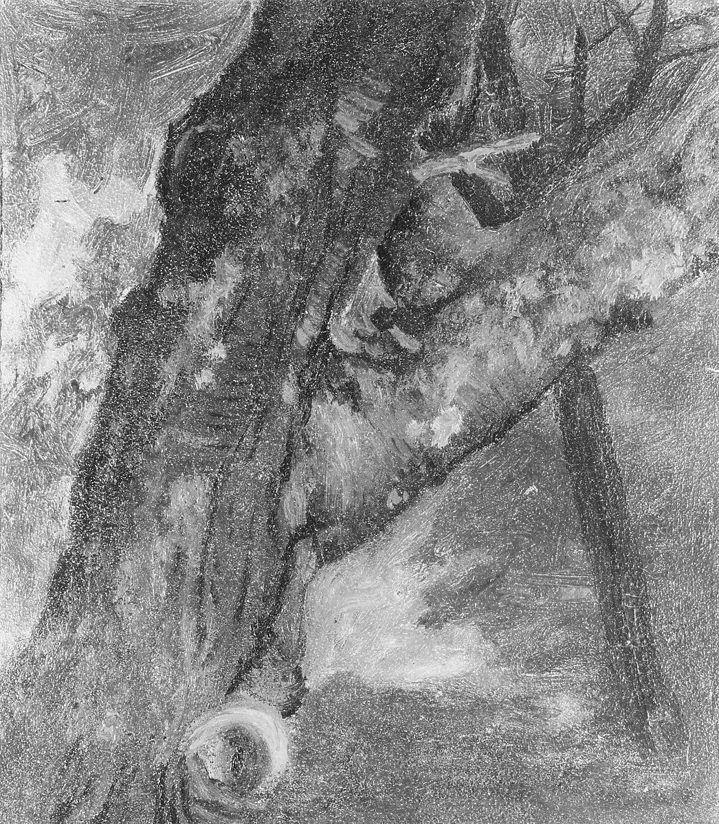Study of a Tree, Albert Bierstadt (American, Solingen 1830–1902 New York), Oil on paper mounted on board, American 