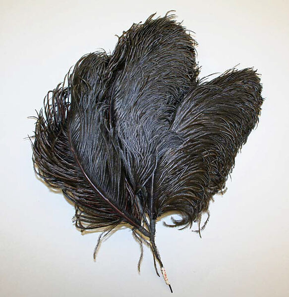 Hair accessory, feathers, American 