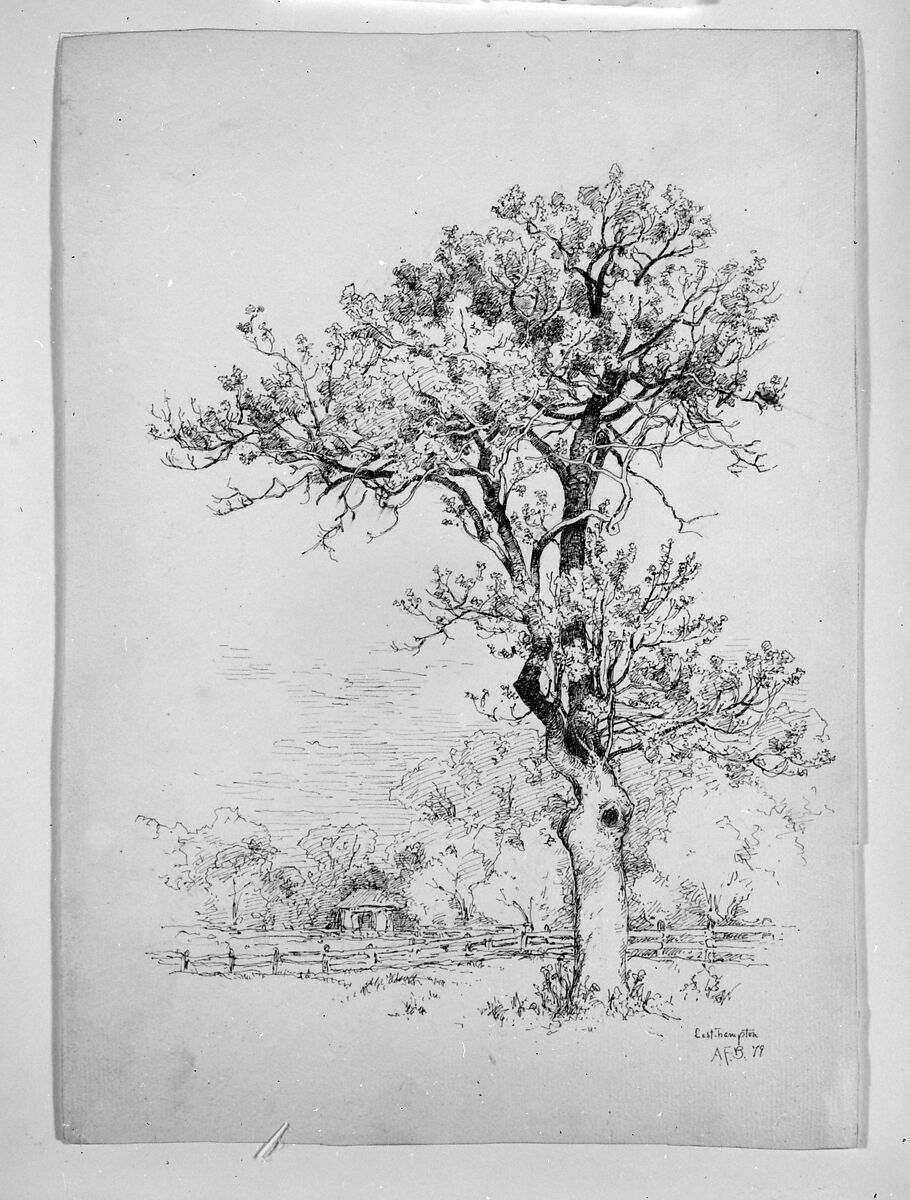 East Hampton, Long Island, Andrew Fisher Bunner (1841–1897), Black ink and graphite traces on off-white wove paper, American