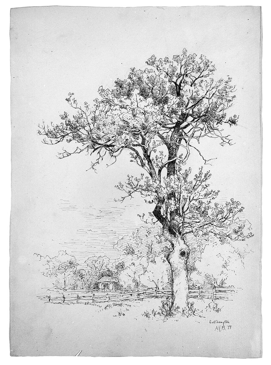 East Hampton, Long Island, Andrew Fisher Bunner (1841–1897), Black ink and graphite traces on off-white wove paper, American 