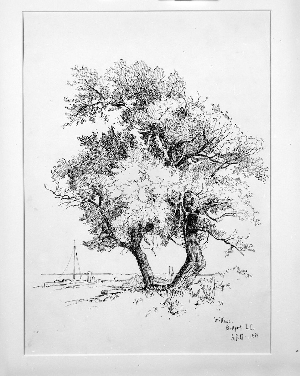 Willows, Bellport, Long Island, Andrew Fisher Bunner (1841–1897), Black ink and graphite traces on off-white wove paper, American