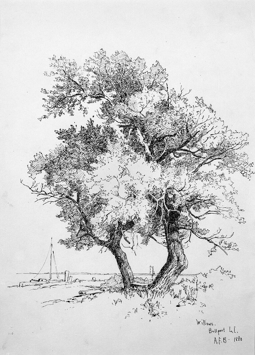 Willows, Bellport, Long Island, Andrew Fisher Bunner (1841–1897), Black ink and graphite traces on off-white wove paper, American 