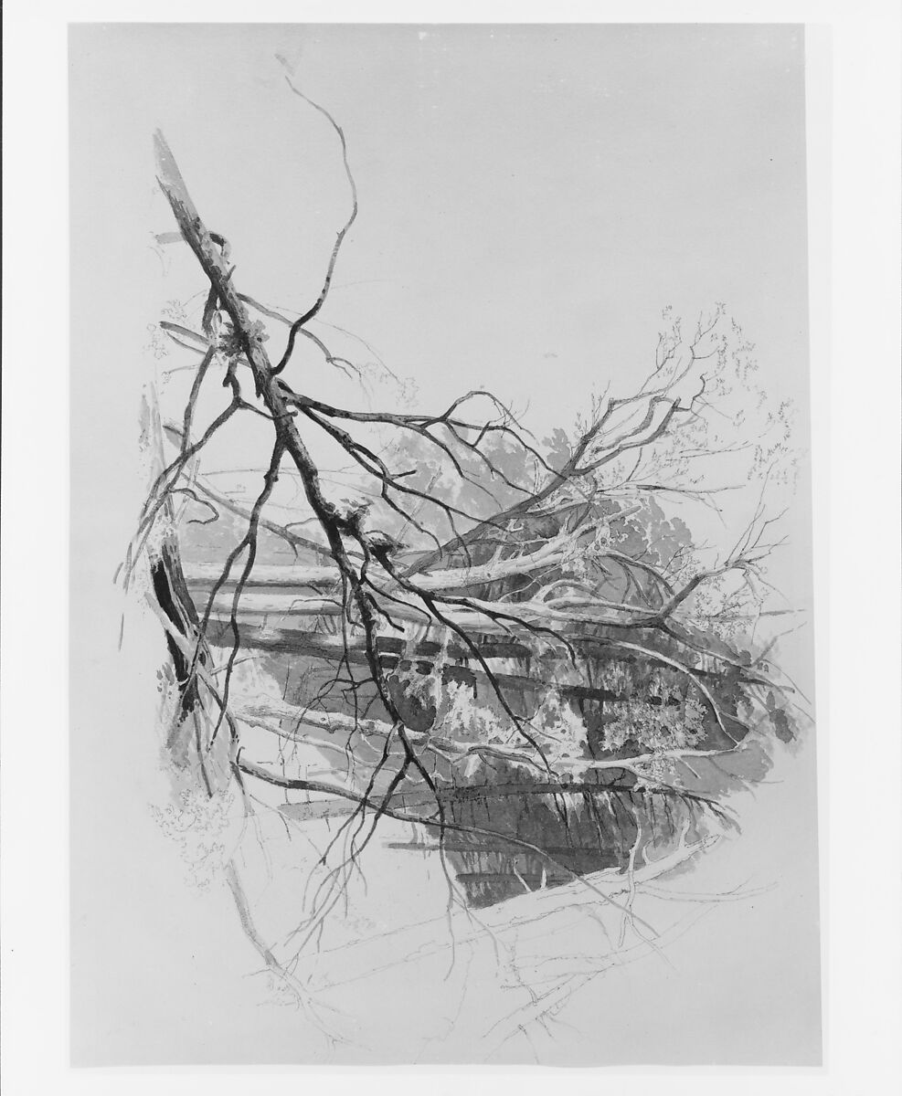 Forest Scene, Johann Hermann Carmiencke (1810–1867), Graphite and watercolor (possibly India ink) on buff-colored wove paper, American