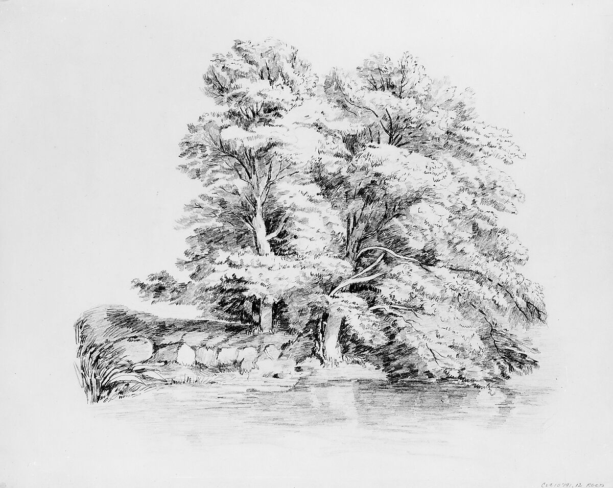 Trees by a Stream, John William Casilear (American, New York 1811–1893 Saratoga Springs, New York), Graphite on off-white Bristol board, American 