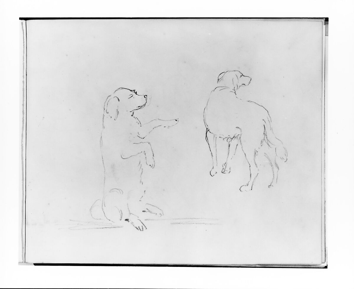 Two Studies of a Dog (from Sketchbook), Francis William Edmonds (American, Hudson, New York 1806–1863 Bronxville, New York), Graphite on off-white wove paper, American 