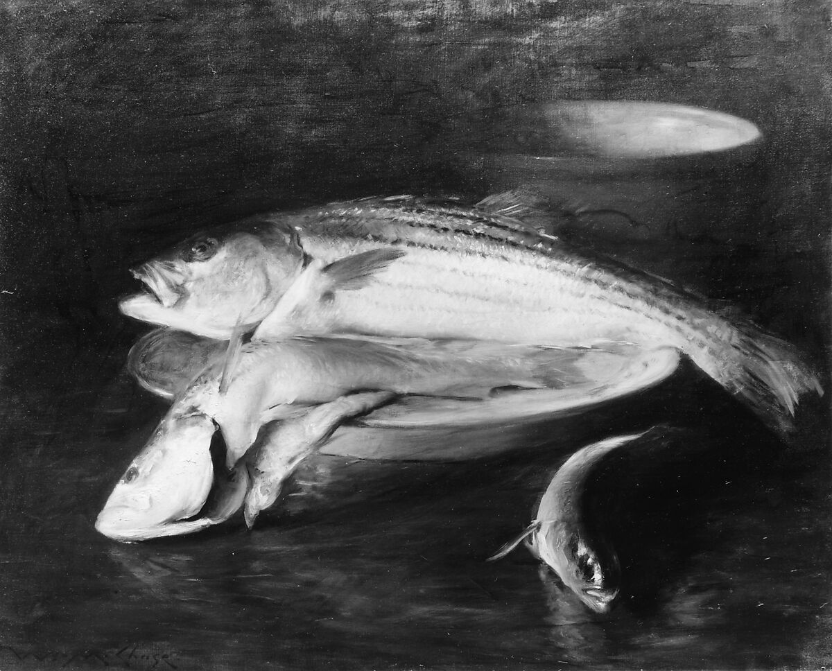 Fish, William Merritt Chase (American, Williamsburg, Indiana 1849–1916 New York), Oil on canvas, American 