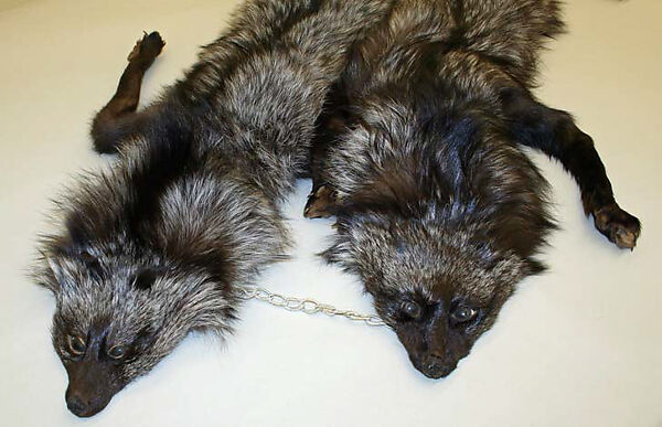 Accessory set, fur (fox), Swedish