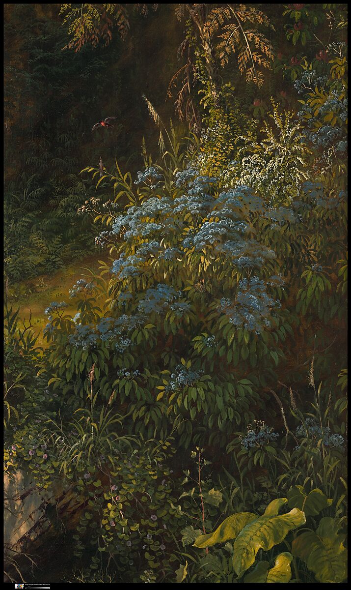 Heart of the Andes, Frederic Edwin Church (American, Hartford, Connecticut 1826–1900 New York), Oil on canvas, American