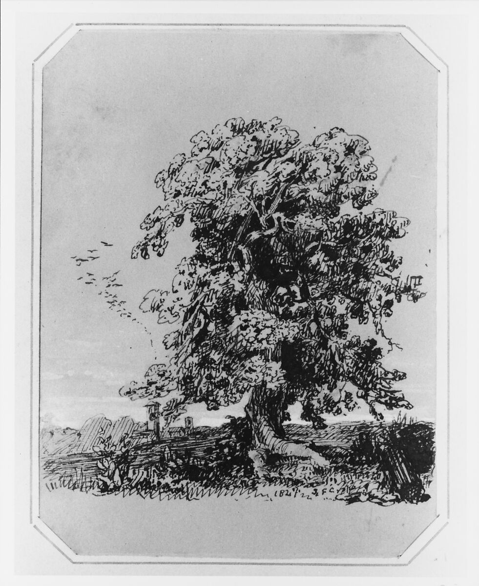Landscape with Tree and a Village in the Distance (from Cropsey Album), Jasper Francis Cropsey (American, Rossville, New York 1823–1900 Hastings-on-Hudson, New York), Pen and iron-gall ink, white gouache, and graphite on heavy, light brown wove paper, American