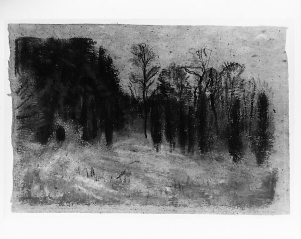 Landscape with Cedars, Arthur B. Davies (American, Utica, New York 1862–1928 Florence), Pastel and charcoal on gray Japanese paper, American 