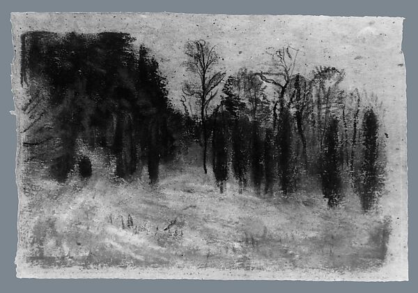 Landscape with Cedars, Arthur B. Davies (American, Utica, New York 1862–1928 Florence), Pastel and charcoal on gray Japanese paper, American