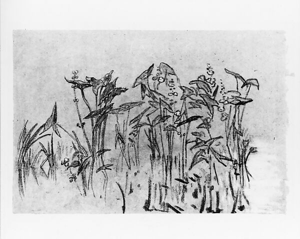 Pickerel Weed, Arthur B. Davies (American, Utica, New York 1862–1928 Florence), Pastel and charcoal on gray Japanese tissue, American