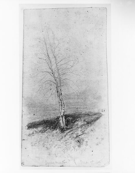 Spring Beauties, Arthur B. Davies (American, Utica, New York 1862–1928 Florence), Graphite and pastel on off-white wove paper, American