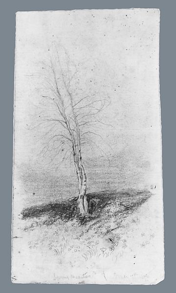 Spring Beauties, Arthur B. Davies (American, Utica, New York 1862–1928 Florence), Graphite and pastel on off-white wove paper, American