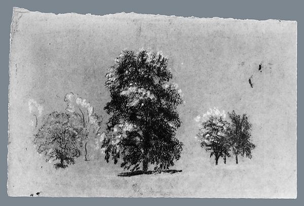 Tree Study, Arthur B. Davies (American, Utica, New York 1862–1928 Florence), Pastel and graphite on blue wove paper, American