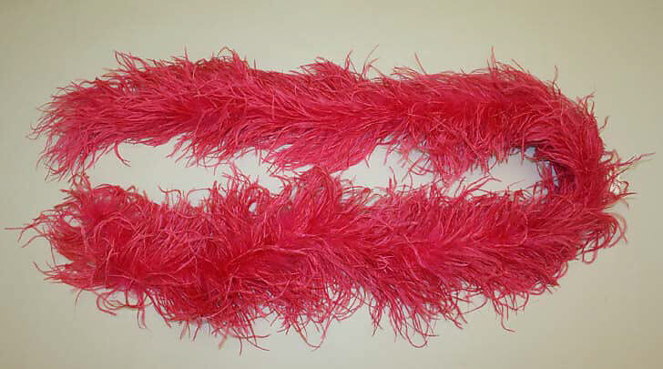 Boa, feathers, American 