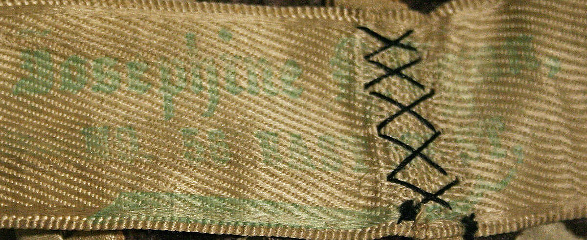 Ensemble, (a–c) Josephine H. Egan, (a,b,c) silk
(d) feathers, American