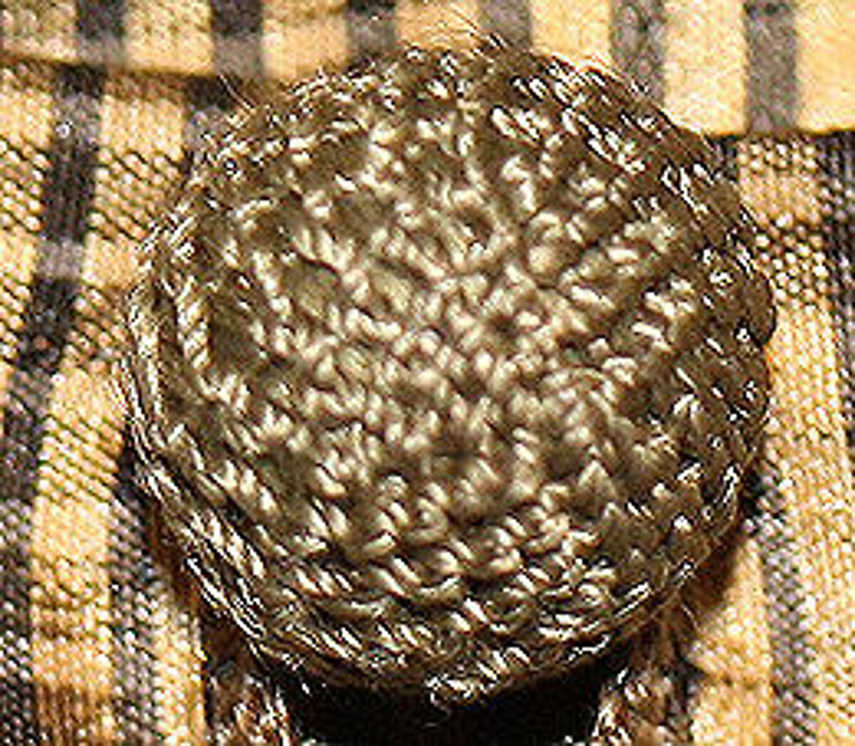 Dress, silk, American