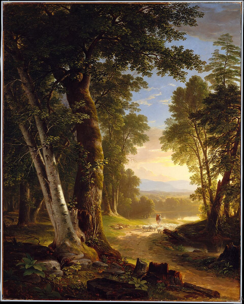 The Beeches, Asher Brown Durand (American, Jefferson, New Jersey 1796–1886 Maplewood, New Jersey), Oil on canvas, American 