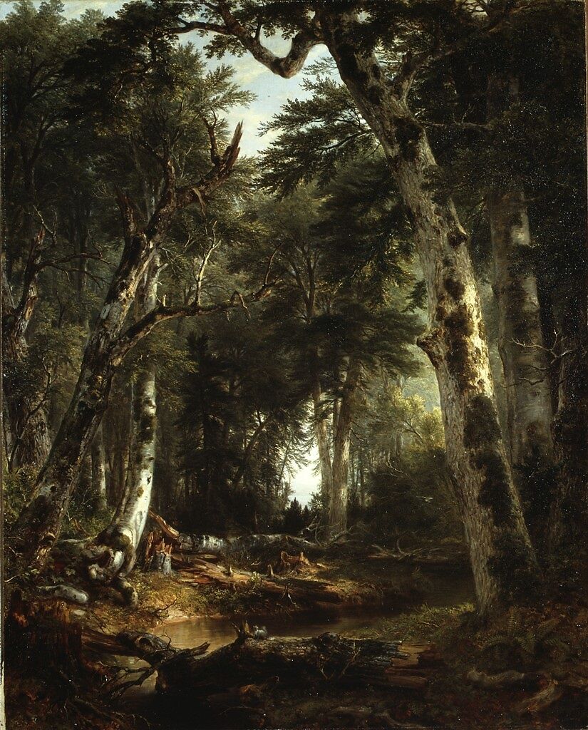 In the Woods, Asher Brown Durand (American, Jefferson, New Jersey 1796–1886 Maplewood, New Jersey), Oil on canvas, American 
