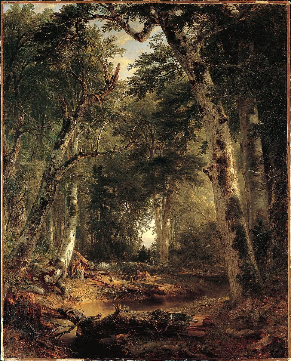 In the Woods, Asher Brown Durand (American, Jefferson, New Jersey 1796–1886 Maplewood, New Jersey), Oil on canvas, American