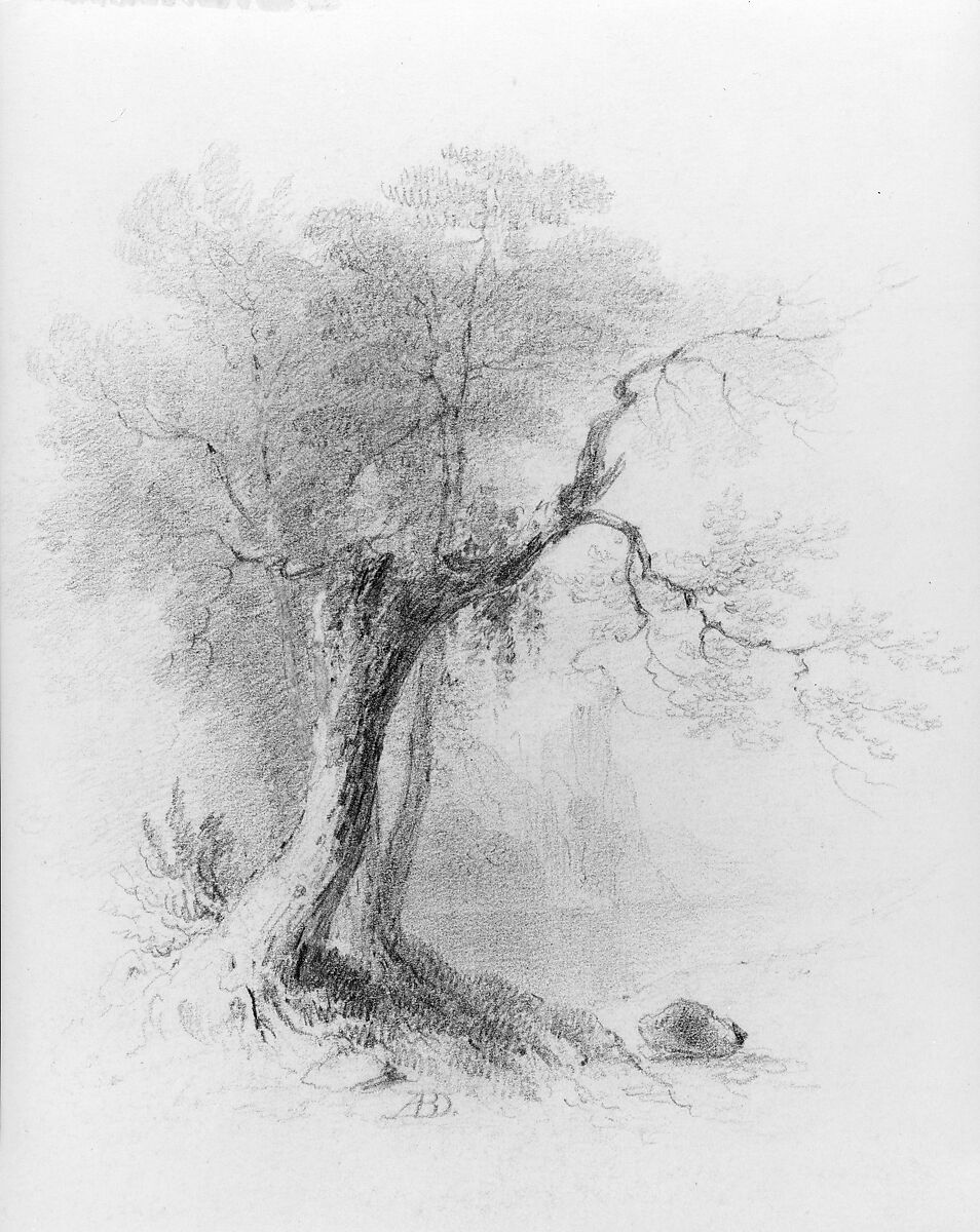 Landscape (from McGuire Scrapbook), Asher Brown Durand (American, Jefferson, New Jersey 1796–1886 Maplewood, New Jersey), Graphite on white wove paper, American 