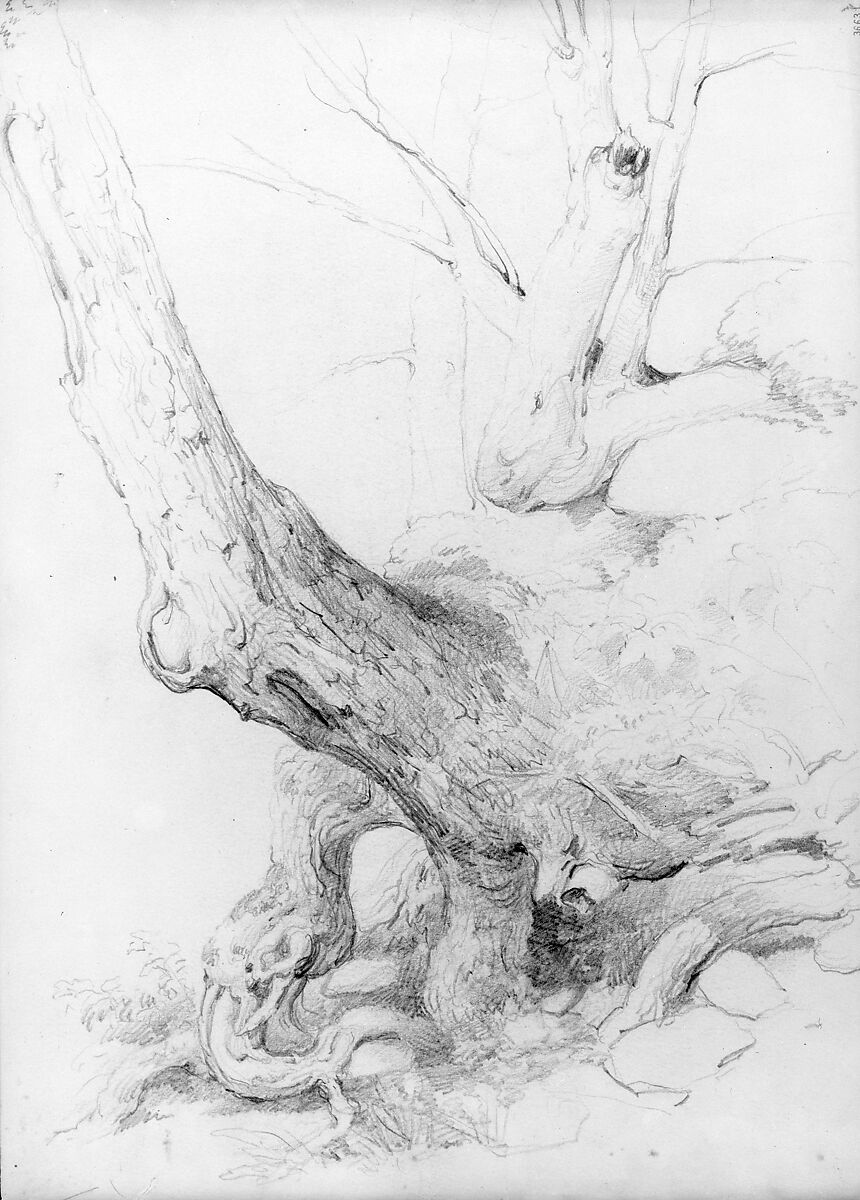 Sketch from Nature