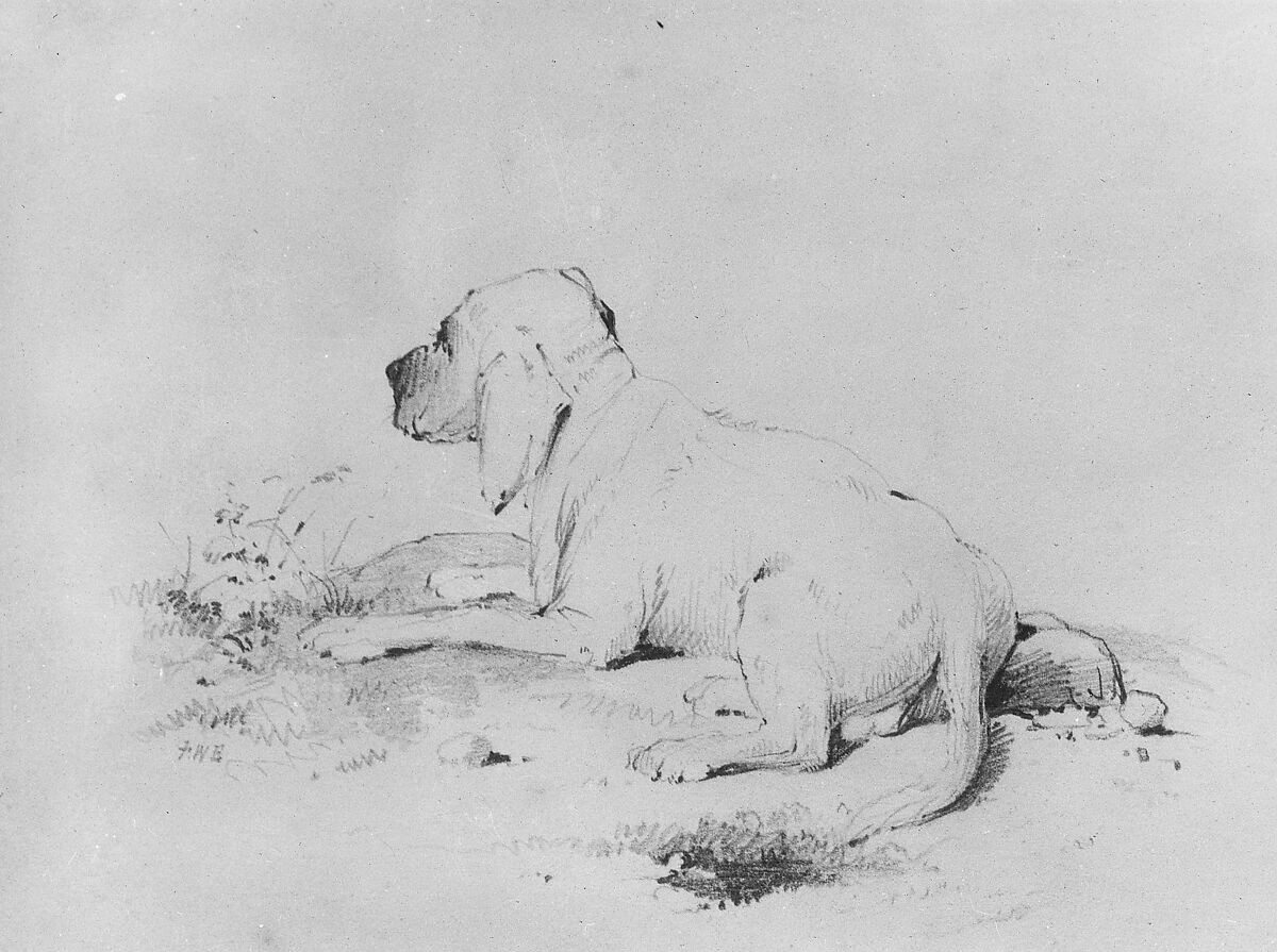 Dog (from McGuire Scrapbook), Francis William Edmonds (American, Hudson, New York 1806–1863 Bronxville, New York), Graphite on off-white wove paper, American 