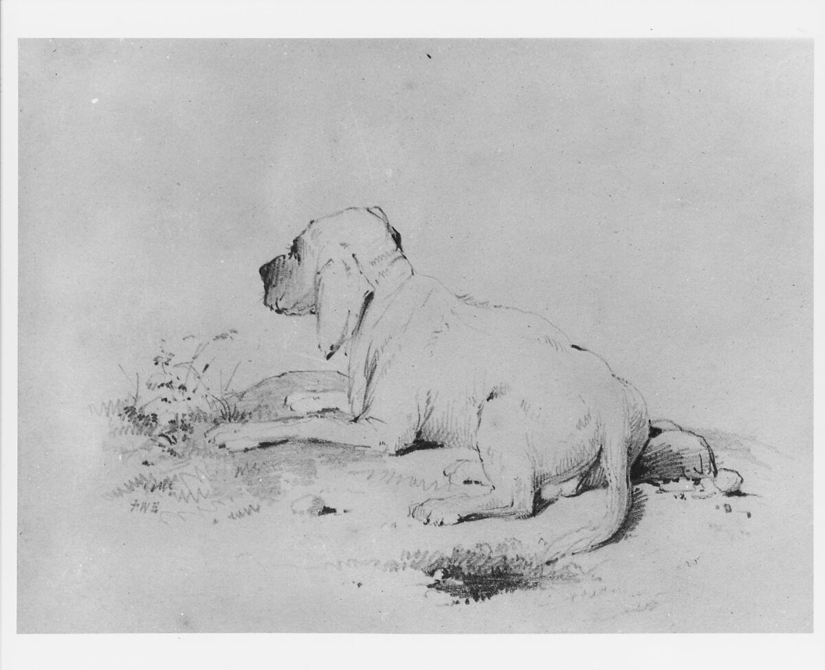 Dog (from McGuire Scrapbook), Francis William Edmonds (American, Hudson, New York 1806–1863 Bronxville, New York), Graphite on off-white wove paper, American