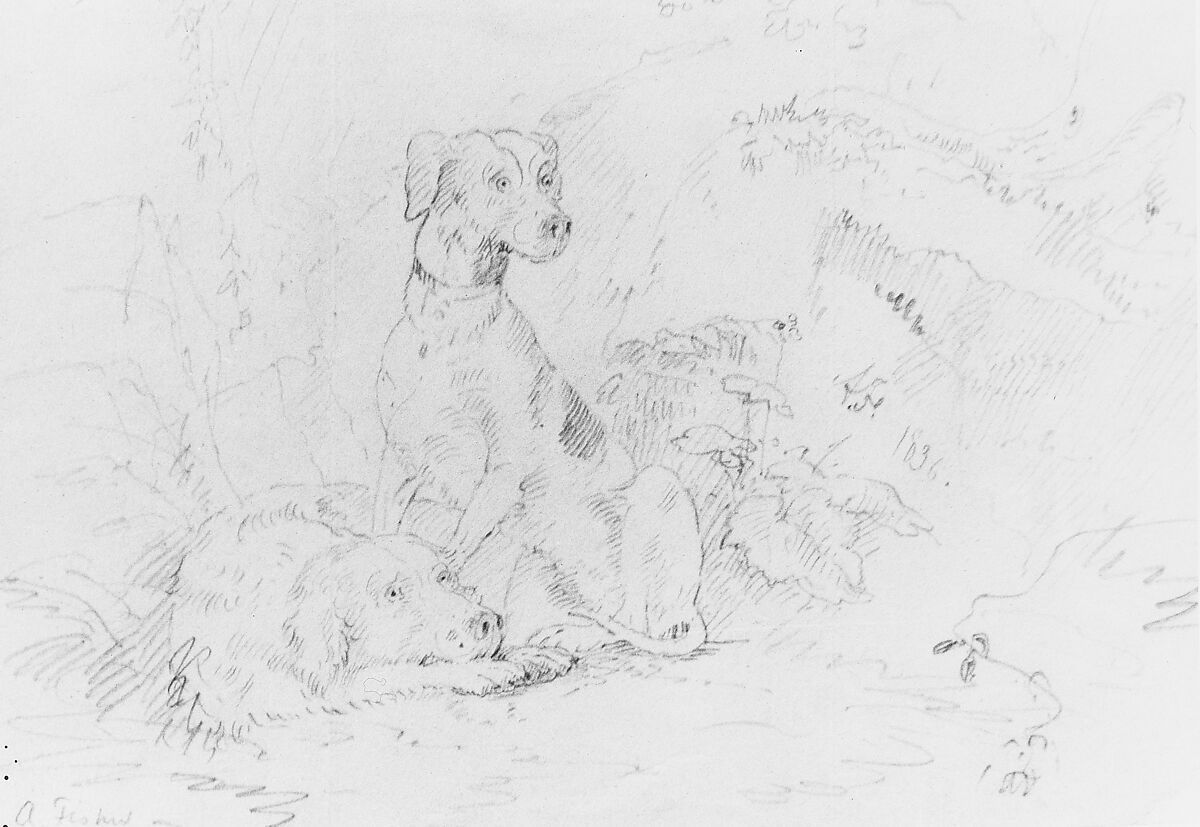 Scene with Dogs (from McGuire Scrapbook), Alvan Fisher (American, Needham, Massachusetts 1792–1863 Dedham, Massachusetts), Graphite on off-white wove paper, American 