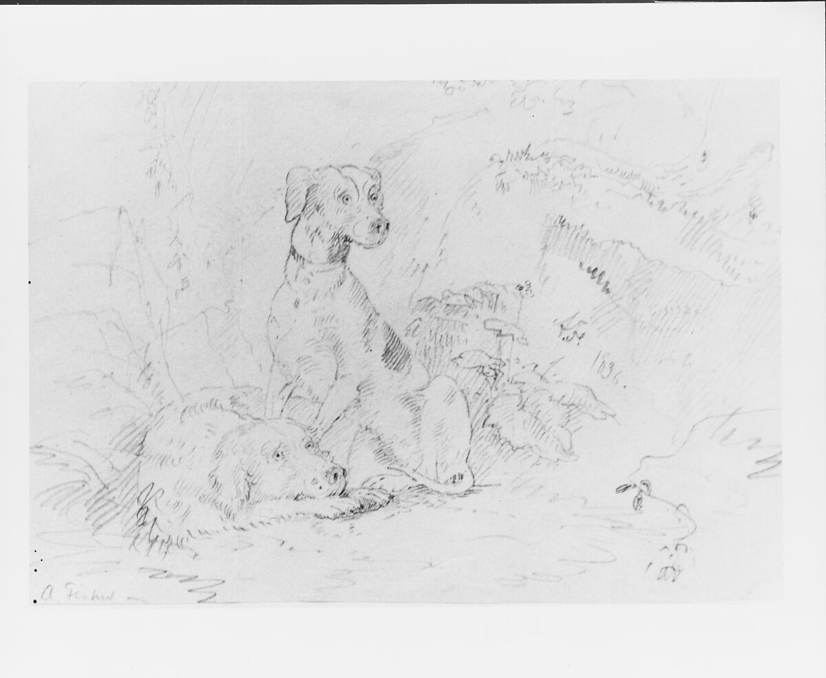Scene with Dogs (from McGuire Scrapbook), Alvan Fisher (American, Needham, Massachusetts 1792–1863 Dedham, Massachusetts), Graphite on off-white wove paper, American