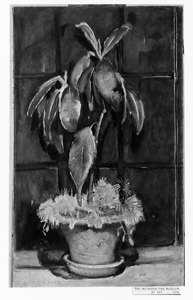 A Window at Night, Anne Goldthwaite (American, Montgomery, Alabama 1869–1944 New York), Oil on canvas, American