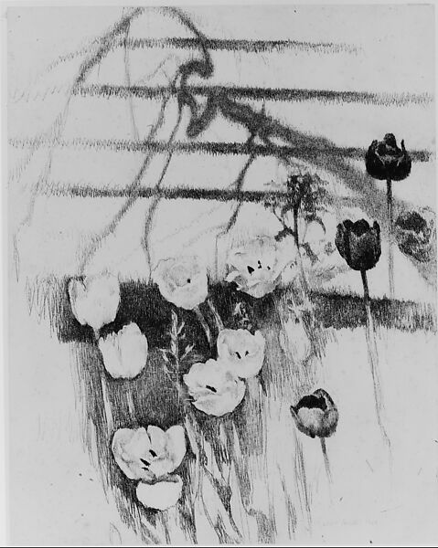 Tulips, Lilian Westcott Hale (American, Hartford, Connecticut 1881–1963 St. Paul, Minnesota), Charcoal on paper, American 