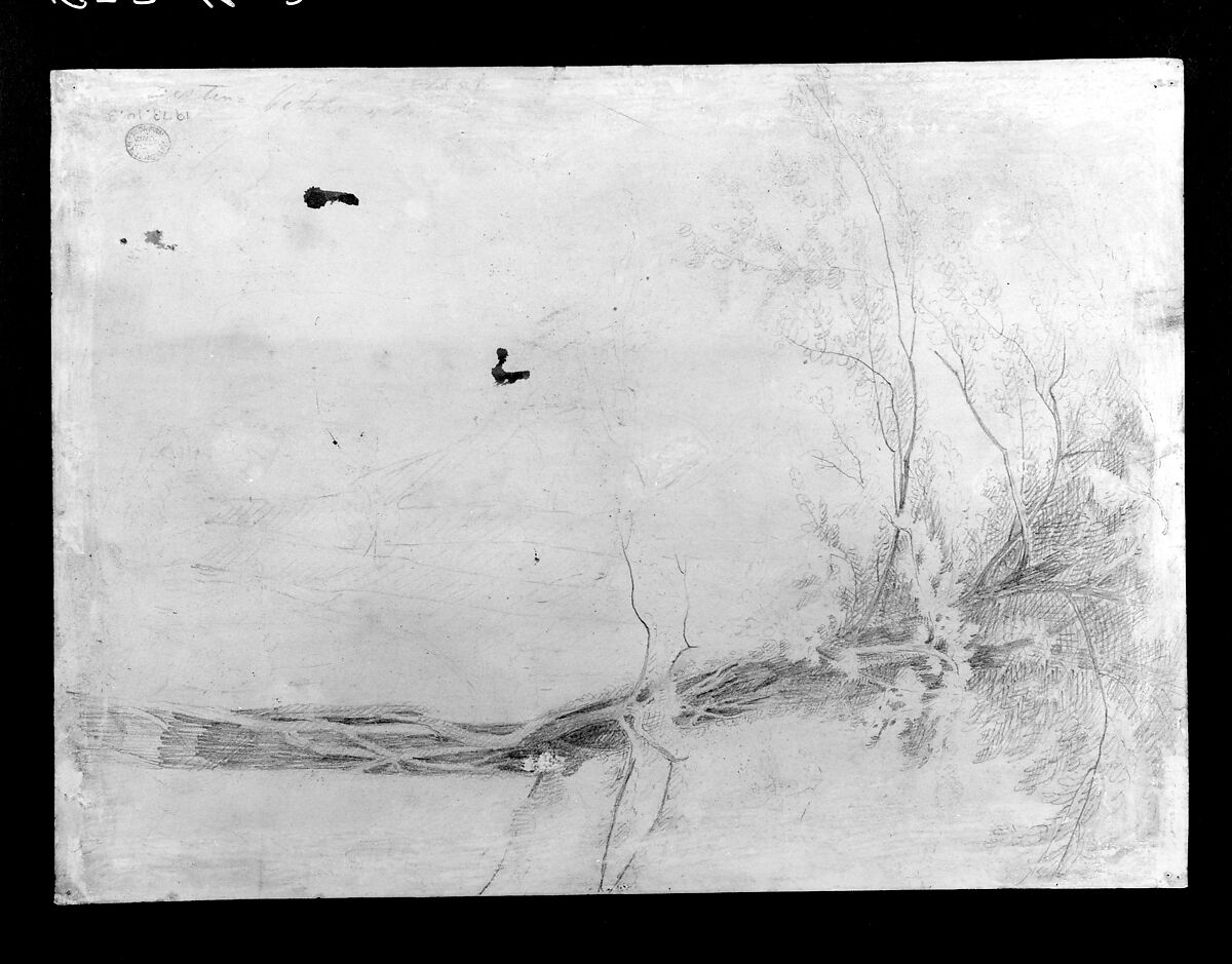 Mountain Range, James M. Hart (American (born Scotland), Kilmarnock 1828–1901 New York), Oil on wove paper, American