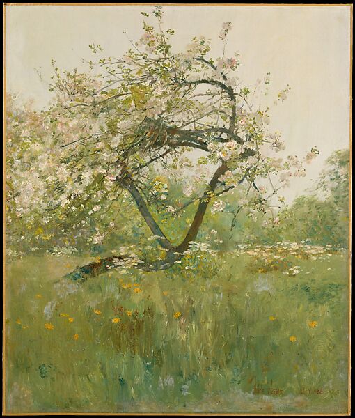 Peach Blossoms—Villiers-le-Bel, Childe Hassam (American, Dorchester, Massachusetts 1859–1935 East Hampton, New York), Oil on canvas, American 