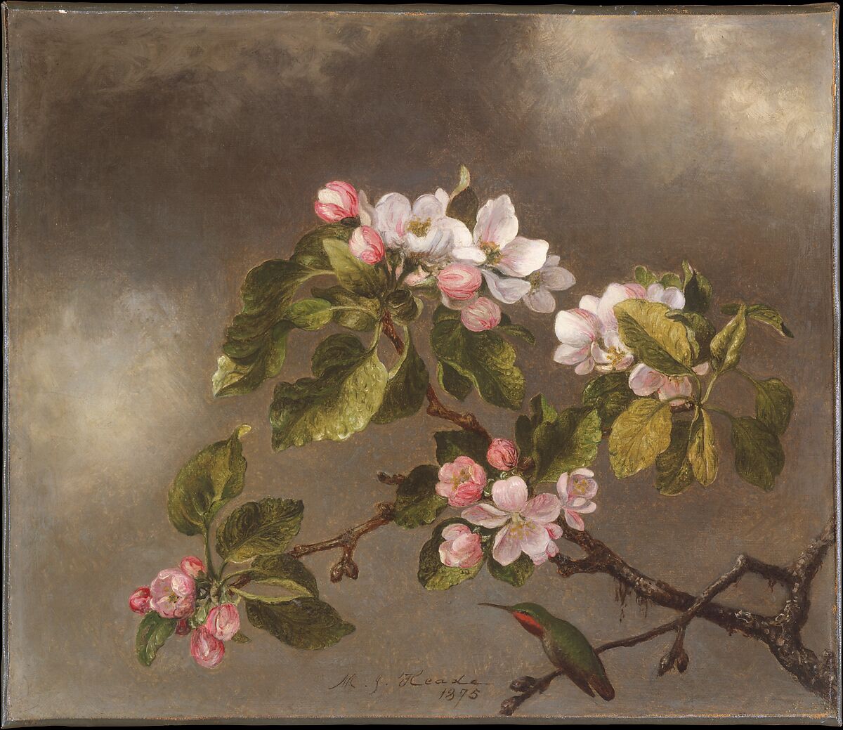 Hummingbird and Apple Blossoms, Martin Johnson Heade (1819–1904), Oil on canvas, American 